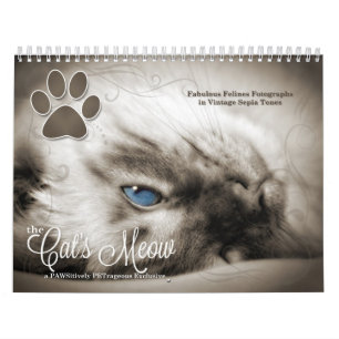 Cat Lover the Cat's Meow 12 maand Kalender