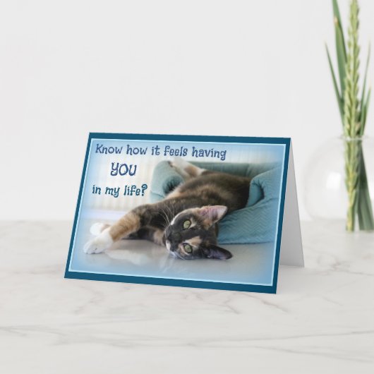 Cat Lover Valentijn Valentijnsdag Kaart (Voorkant)