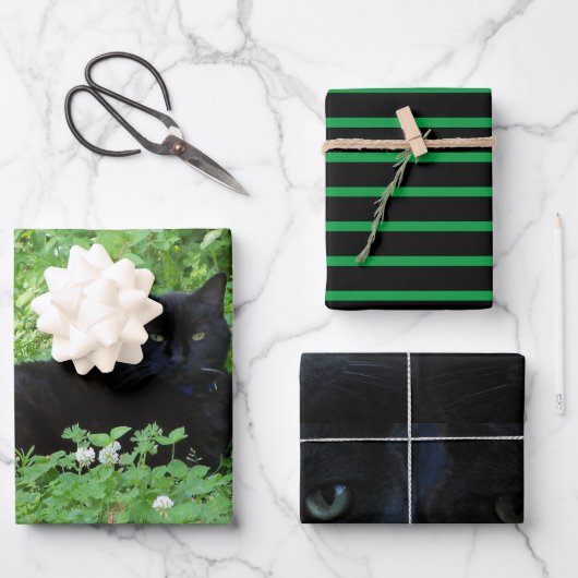 Cat Lovers Cft of Craft Inpakpapier Vel (Voorkant)