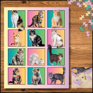 Cat Lover's Color Block Collage Pastelpuzzel Legpuzzel