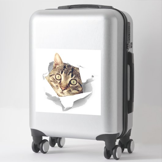 Cat Lovers Face Fun Sticker (Koffer)