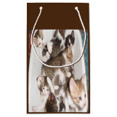 Cat lovers gift klein cadeauzakje (Achterkant)