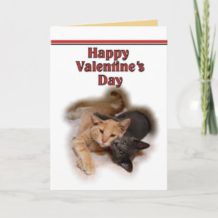 Cat Lovers Happy Valentine's Day Card Feestdagen Kaart