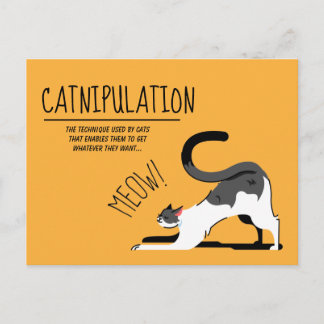 Cat Lovers Meow Design Briefkaart