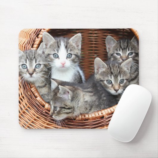 Cat Lovers Muismat (Met muis)