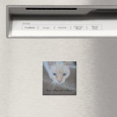 Cat Magnet Magneet (Insitu (Vaatwasser))