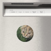 Cat Magnet Magneet (Insitu (Vaatwasser))