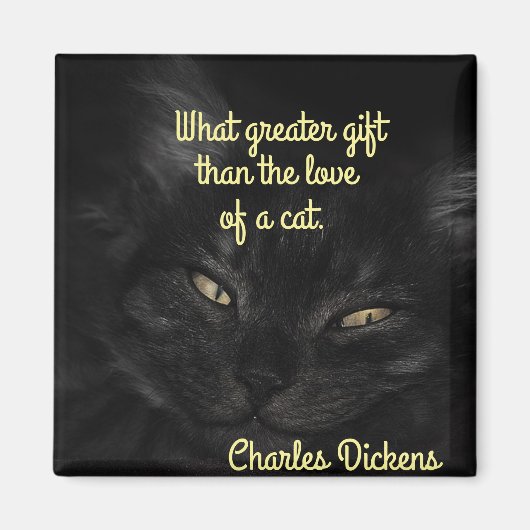 Cat Magnet Magneet (Voorkant)