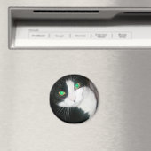 Cat Magnet Magneet (Insitu (Vaatwasser))