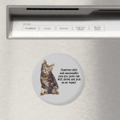 Cat Magnet Magneet (Insitu (Vaatwasser))