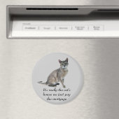 Cat Magnet Magneet (Insitu (Vaatwasser))