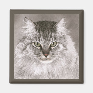 Cat Magnet - "Merlin" Magneet