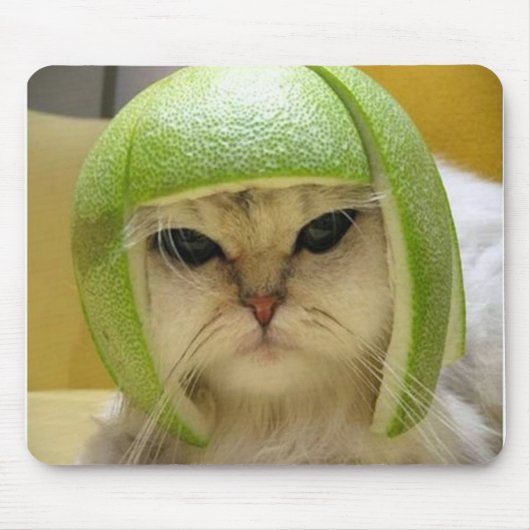 Cat Melon Muismat (Voorkant)