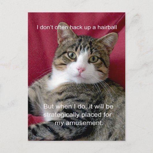 Cat Meme Briefkaart (Voorkant)