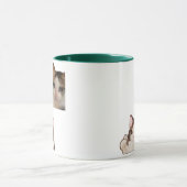 Cat Meme Thumbs Up Funny OK Cat Meme Kitten Mug (Centre)