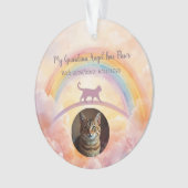 Cat Memorial Acrylic Ornament Rainbow Bridge (voorkant)
