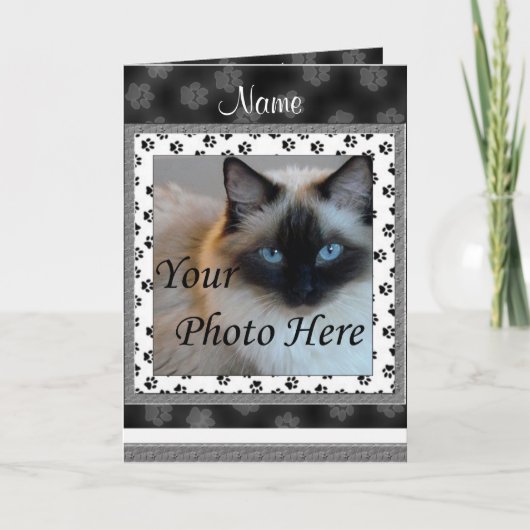 Cat Memorial Faire-part - Perte d'animal (Devant)