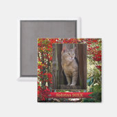 Cat Memorial of Keepomwille Photo Lijst Magnet Magneet (Voorkant / Achterkant)
