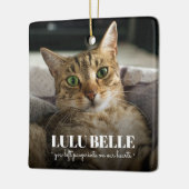 Cat Memorial Photo Keramisch Ornament (Links)