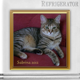 Cat Memorial Photo Lijst Magnet Magneet