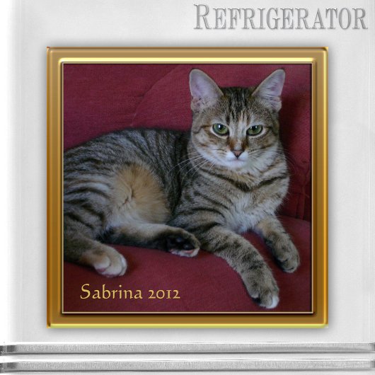 Cat Memorial Photo Lijst Magnet Magneet