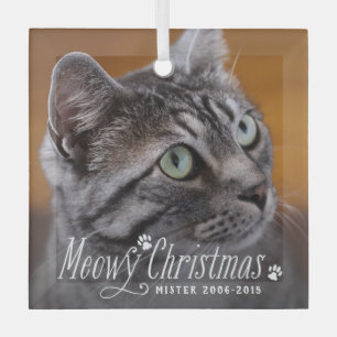 Cat Meowy Kerstmis Pet Memorial Foto Glas Ornament
