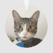 Cat MEOWY NOËL 2 Photo Rouge (dos)