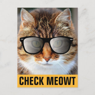 CAT met zonnebril, CONTROLEER HET BRIEFKAART VAN M