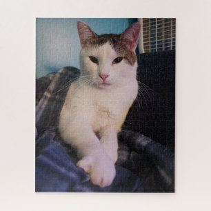 Cat mignon puzzle