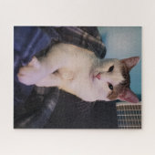 Cat mignon puzzle (Horizontal)