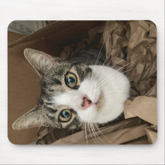 Cat Mouse Mat Muismat