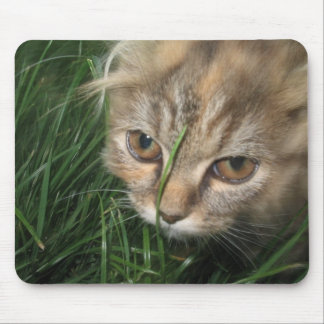 Cat Mousepad Muismat