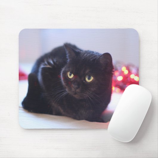 Cat Mousepad Muismat (Met muis)
