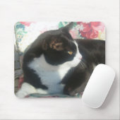 Cat Mousepad Muismat (Met muis)