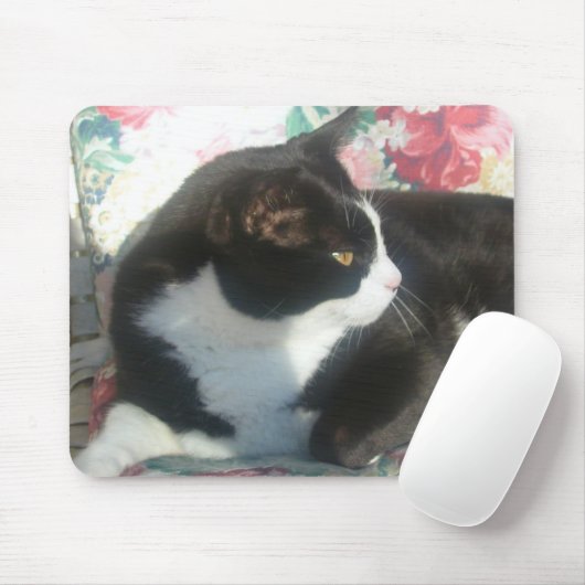 Cat Mousepad Muismat (Met muis)