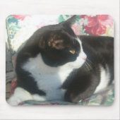 Cat Mousepad Muismat (Voorkant)