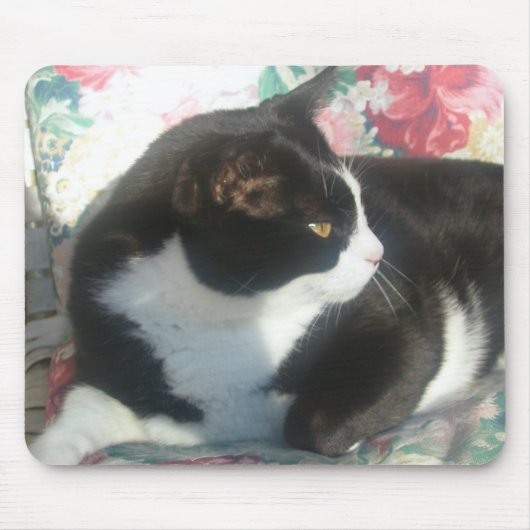 Cat Mousepad Muismat (Voorkant)