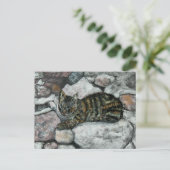 Cat Nap Briefkaart (Staand voorkant)