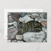 Cat Nap Briefkaart (Voorkant / Achterkant)