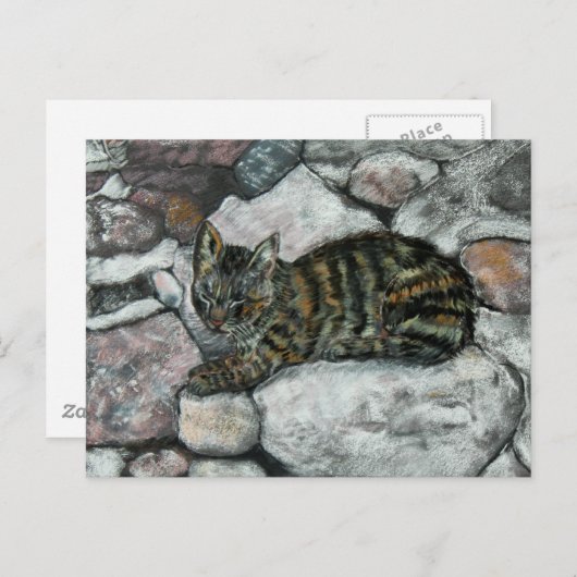 Cat Nap Briefkaart (Voorkant / Achterkant)