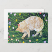 Cat Nap Briefkaart (Voorkant / Achterkant)