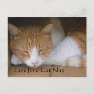 Cat Nap Briefkaart