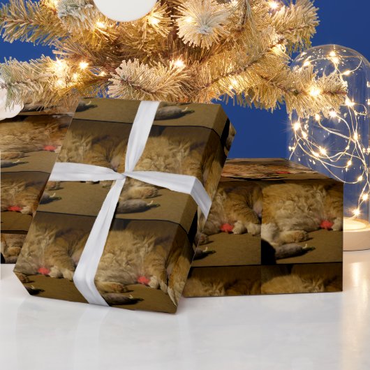 Cat Nap Cadeaupapier (Feestdagen)