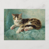 Cat Nap Henriëtte Ronner-Knip Briefkaart (Voorkant)