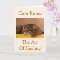 Cat Nap La sagesse obtenir bonne carte