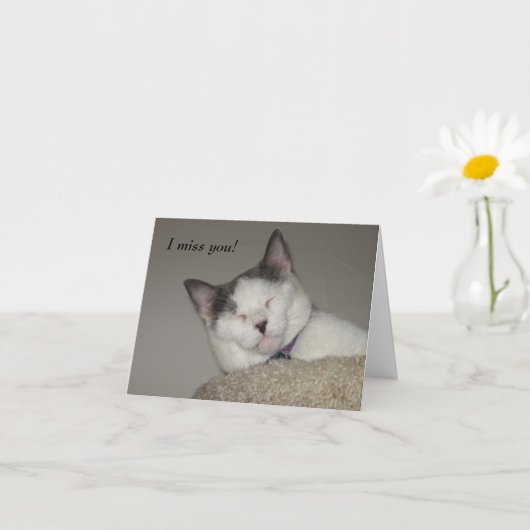 Cat Nap-Missing You Kaart (Kleine Plant)