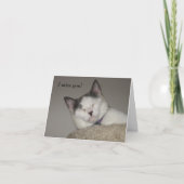 Cat Nap-Missing You Kaart (Voorkant)