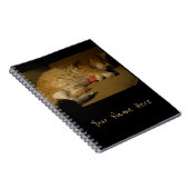 Cat Nap Notitieboek (Rechterzijde)