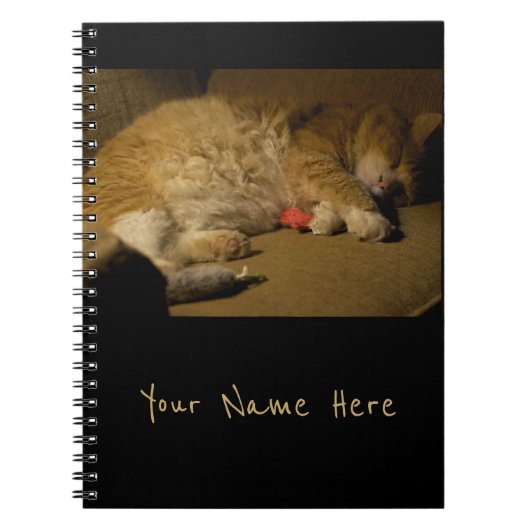 Cat Nap Notitieboek (Voorkant)