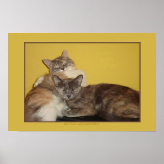 Cat Napels Poster (Voorkant)